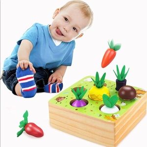 Montissori STEM wooden toys